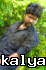 Thuvaaragan