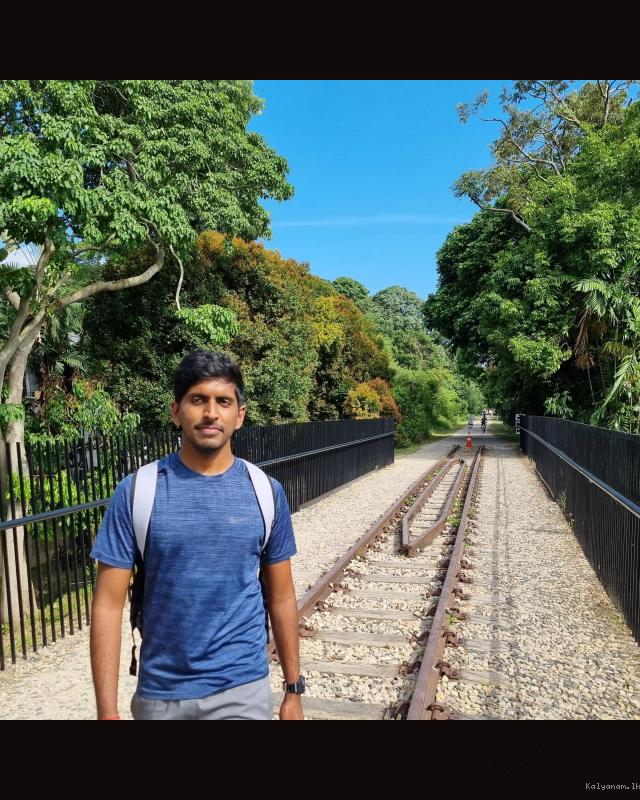 Vipulesh